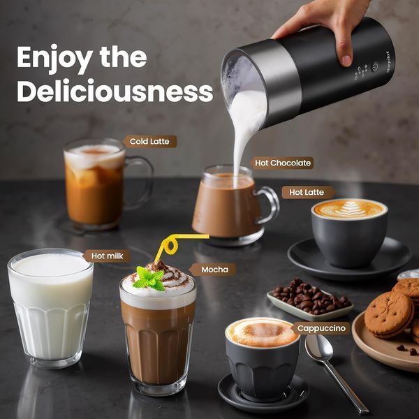 Milk Frother HS007